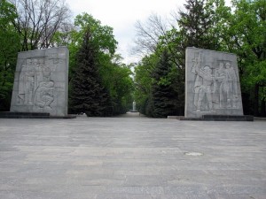 9033a41fb94134f9d0b1d6de50a779e4