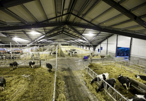 8c532ff5bf087126e21c7d5dfd20bd1a