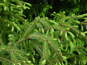 b15d111983999c6666e1f6a448c54bc6